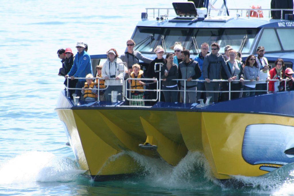 Kaikoura Whale Watch Vessel