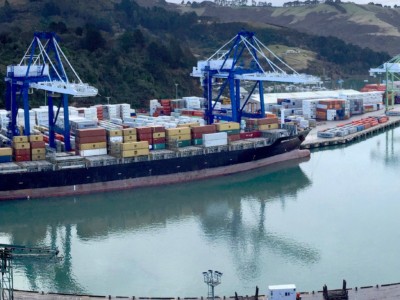 New Otago Harbourmaster